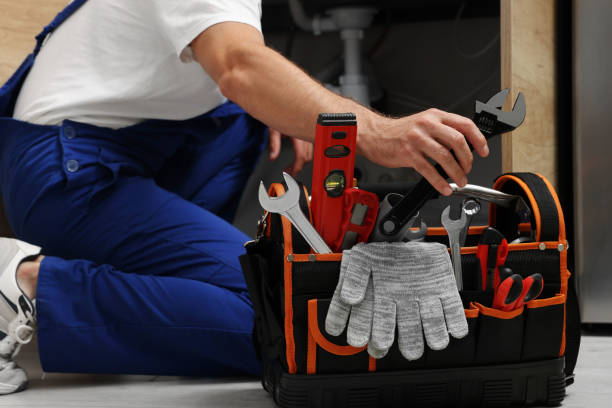 Best Toilet Repair Services  in Osceola, AR